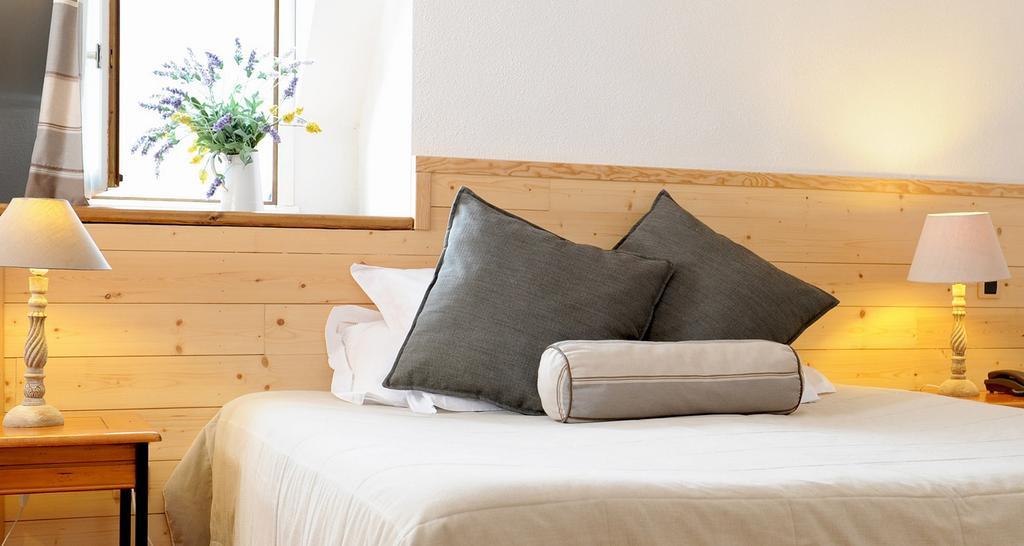 Hotel La Grange Aux Marmottes Viscos Pokój zdjęcie